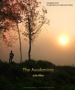 The Awakening by Julie Allen